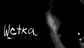 Wetka